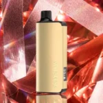 4645364053_large.webp – Grossiste puffs Dakar Sénégal | Cigarettes Électroniques, nicotine pouches Dakar Sénégal