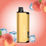 PeachIce_726001f2-a2d1-40e1-a639-87bde7971148_large.webp – Grossiste puffs Dakar Sénégal | Cigarettes Électroniques, nicotine pouches Dakar Sénégal