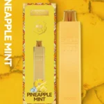 pineapple-mint-gal.webp – Grossiste puffs Dakar Sénégal | Cigarettes Électroniques, nicotine pouches Dakar Sénégal